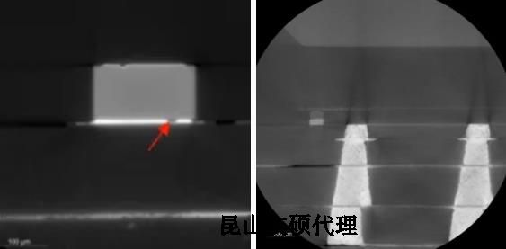 乐东蔡司乐东X射线显微镜